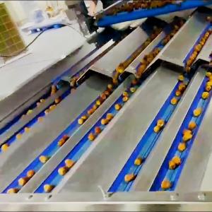 Wholesale Intelligent Date Sorting Machine With Smart 360° Rotational Scan Multi-Exit Discharge High-Speed Mode from china suppliers