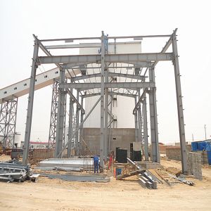 Automated Steel Poultry House with Fireproof Insulation