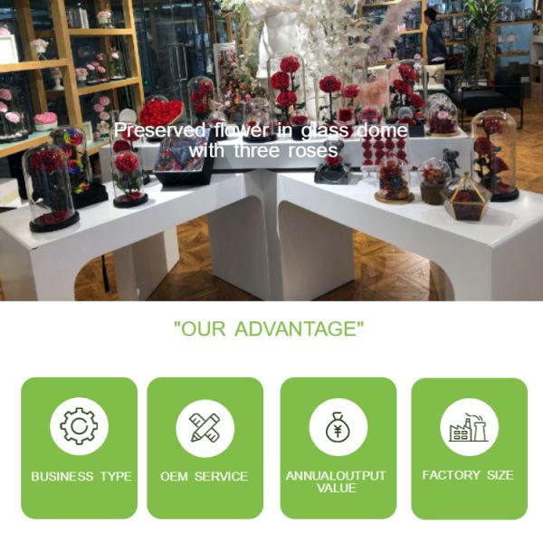 Real Touch Eternal Preserved Rose Glass Dome For Valentines Day Gift