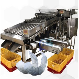 Seafood Processing Shrimp Grading Machine 6000x3200x2200mm Stable