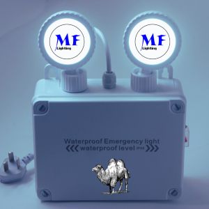 Double Head Waterproof IP65 Outdoor Indoor Long Duration Time Rechargeable Non