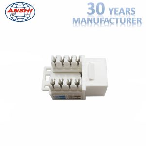 White Cat6 RJ45 Keystone Jack Keystone Punch - Down Stand For Wiring System