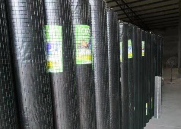 Quality Square Hole Fencing Green 14mm 1x1 Welded Wire Mesh for sale