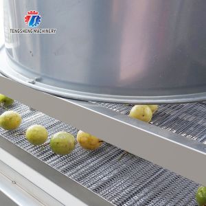 350KG Vegetable drain air drying machine stainless steel fruit and vegetable air