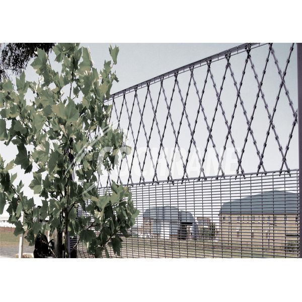 Rhombus Welded Razor Mesh Fence 150mmx300mm BT022 Hot dipped Galvanized