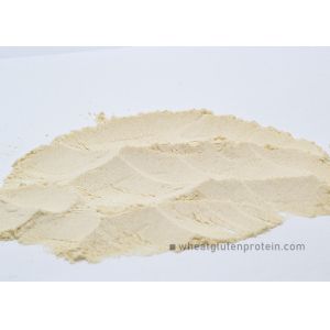 Wholesale Baking Foods Ingredient Vital Wheat Gluten Physical Extraction from china suppliers