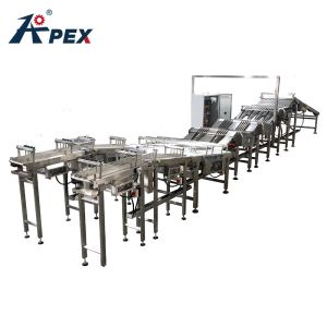 Industrial Automatic Biscuit Feeding System , Stainless Steel Sorting Conveyor