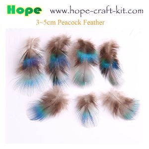 5~20mm ostrich feathers, goose feathers, turkey feathers, chicken feathers,