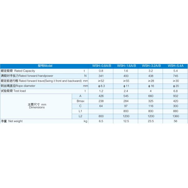 ELECTRIC CHAIN HOIST 3TON