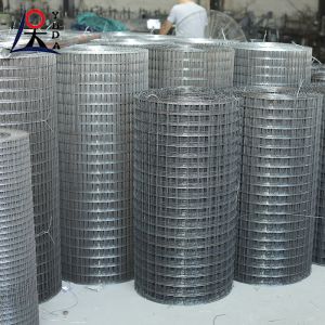 Galvanized Welded Wire Mesh Fence Roll 2x2 Fine Wire Diameter