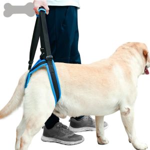 Wholesale Auxiliary Belt Leg Support Pet Harness Leash For Disability Injury High Aged Dog from china suppliers