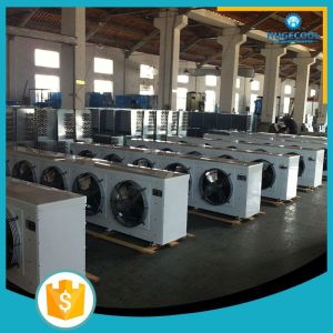 Commercial air cooler for saving eggs and vegetables for cold storage