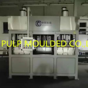 Bagasse Eco Friendly Pulp Plate Making Machine 1T For Tableware