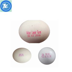 High Resolution Batch Number Printing Machine Small Characters Exclusively