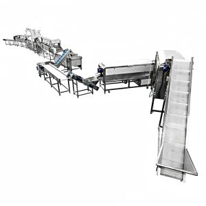 Large Scale Customizable French Fries Processing System with Customization