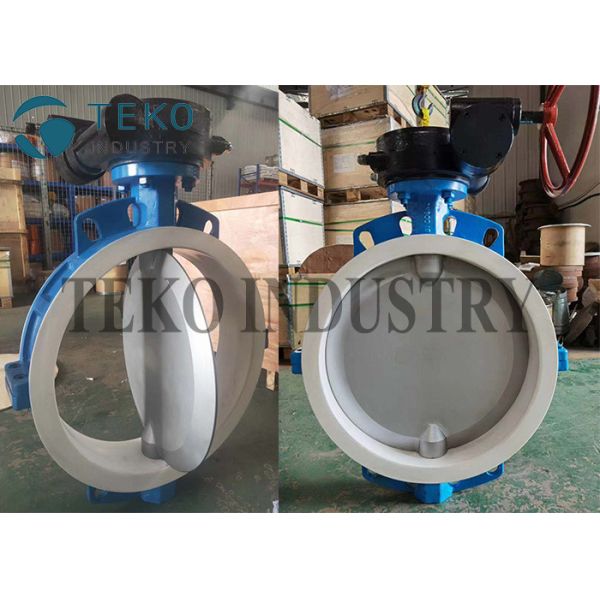 Two Pieces Body Replaceable Seat Semi Lined Butterfly Valve