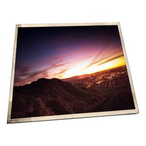 Wholesale P173ZZZ-BZ1 17.3 inch 100000:1 60Hz lcd Screen for Laptop from china suppliers