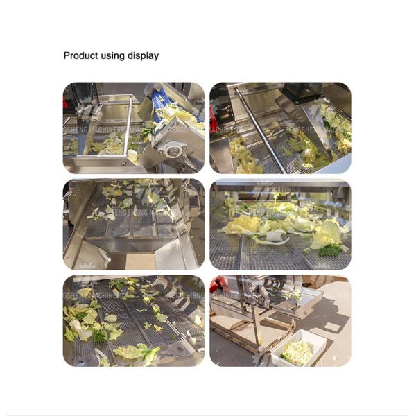 OEM Potatoes Orange Fruit Drying Machine Leafy Vegetables Vibrating Air Dryer