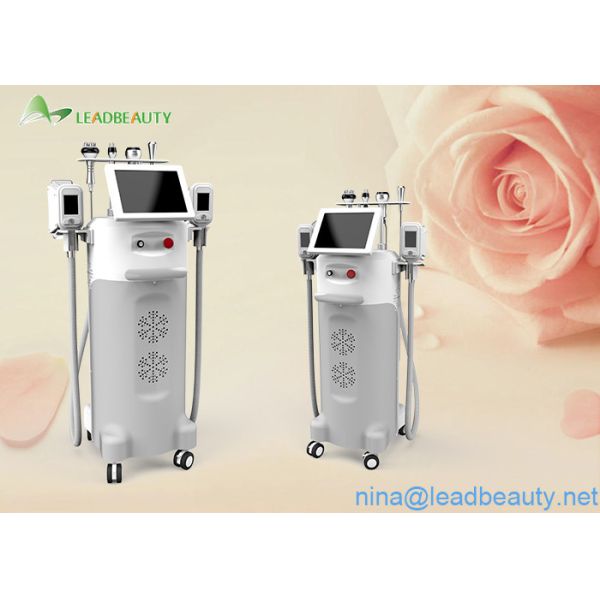 Quality 3 in 1 strong cooling Multi-functional 5 handles cryo body sculpting machines for sale