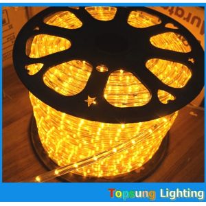 Wholesale led flexible rope lights 24/12V 1/2'' 2 wire battery powered duralights from china suppliers