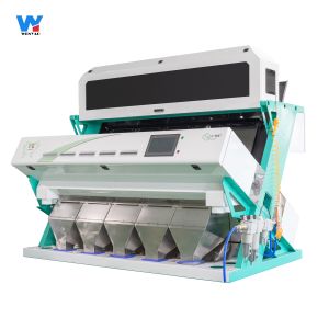 Nuts Almond Raisin Color Sorter Mini Color Sorting Machine With CCD Sensor