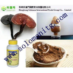 Wholesale high quality Ganoderma lucidum Extract/ Reishi Extract/Reishi Mushroom Extract from china suppliers
