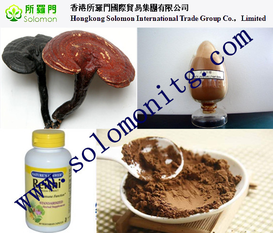 high quality Ganoderma lucidum Extract/ Reishi Extract/Reishi Mushroom Extract