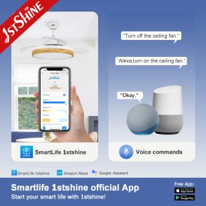 Support Dimmer 220V Hidden Blade Ceiling Fan With Chandelier Lighting 42" Blade