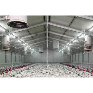 Modern Lightweight Metal Frame Building Poultry Farm Structure