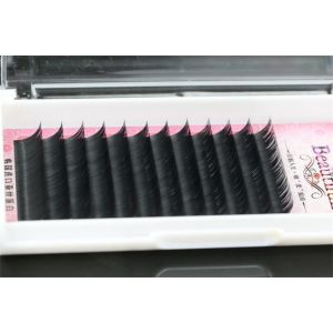 Professional Semi Permanent Eyelash Extensions , Salon Individual Eyelashes B
