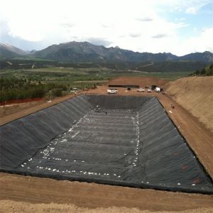 Waterproof Geomembranes 0.2-2mm for Fish/Shrimp Pond Liners in Waterproofing