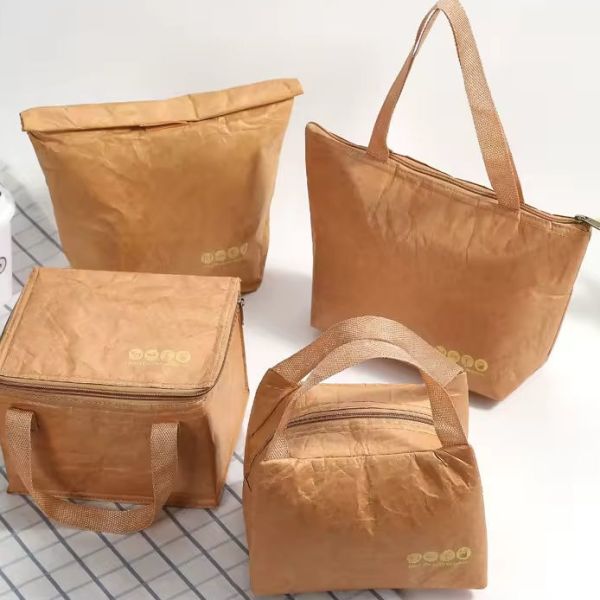 Biodegradable Sustainable Recyclable Custom Tyvek Insulation Tote Lunch Bag 15L