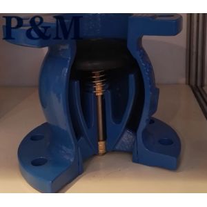 Ductile iron ANSI flanged foot valve