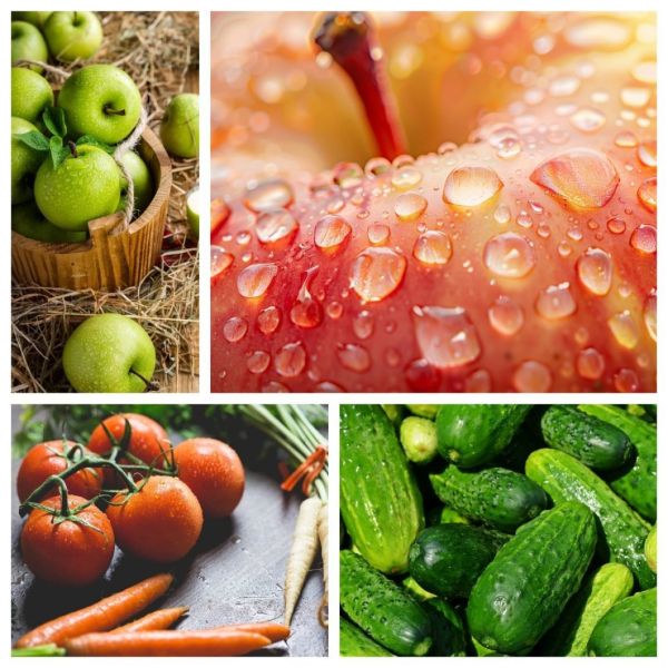 Advanced Fruit and Vegetable Processing Equipment for Cleaning