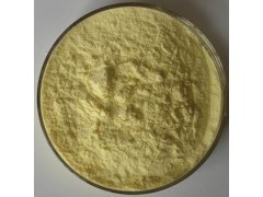 For beverage mango juice powder factory price/pure african mango powder sample