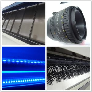 WENYAO Peeled Garlic Separating Machine with high frequency ejectors