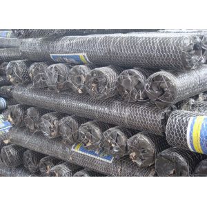 plant protection 25mm BWG24 Hexagon Metal Mesh