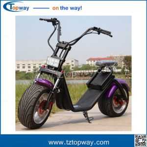 citycoco/seev/woqu 1000w with battery can be removed 18*9.5inch big tyre