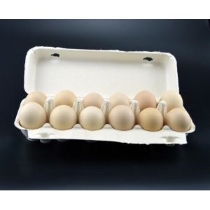 Environment Friendly Paper Egg Tray Making Machine With High Efficiency