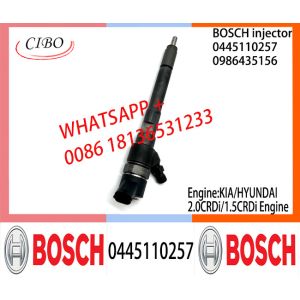 BOSCH injetor 0445110257 0986435156 Common fuel Injector 0445110257 0986435156