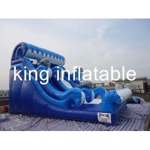 0.55mm PVC Tarpaulin Inflatable Dry Slide Blue / White Slide Attached For