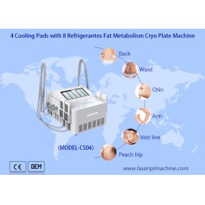 Ems Fat Reduce Cryo Plate Machine With 4 Cooling Pads