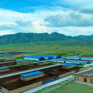 Prefab Galvanized Steel Structure Warehouse with 50-Year Lifespan