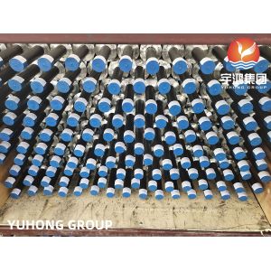 Low Fin Tube, ASME SA179 Seamless Base Tube, Cost-Effective for Feedwater