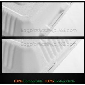 lunch boxes for kids, Disposable clear pack lunch box with freezable for