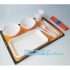 SUGARCANE BAGASSE PLA DINNERWARE BIO ECO TABLEWARE, CUP PLATE BOWL CONTAINER,PLA