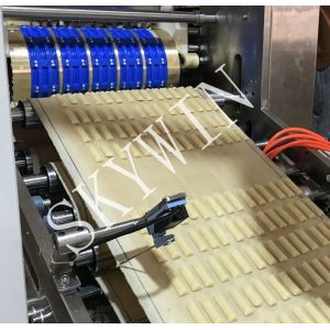 Skywin Factory Soft Biscuit Making Machine Cookie Rotary Moulder