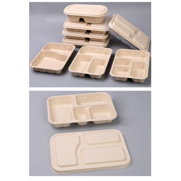 School Lunch Biodegradable Sugarcane Plates Disposable