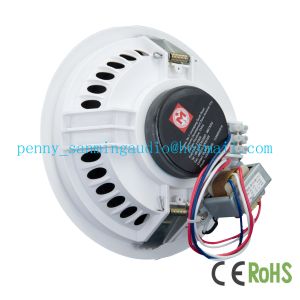 SM-61T Ceiling Speaker,Loudspeaker,in wall speaker