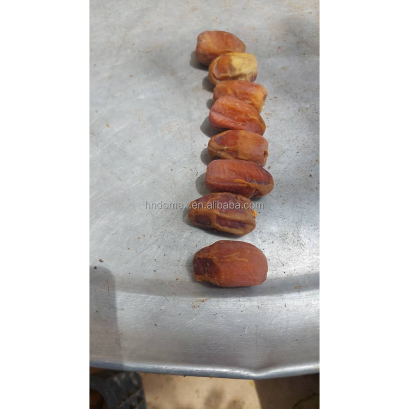2023 Time Saving Olive Pitting Machine for Cherry Kernel Hawthorn Dates Seed Removing